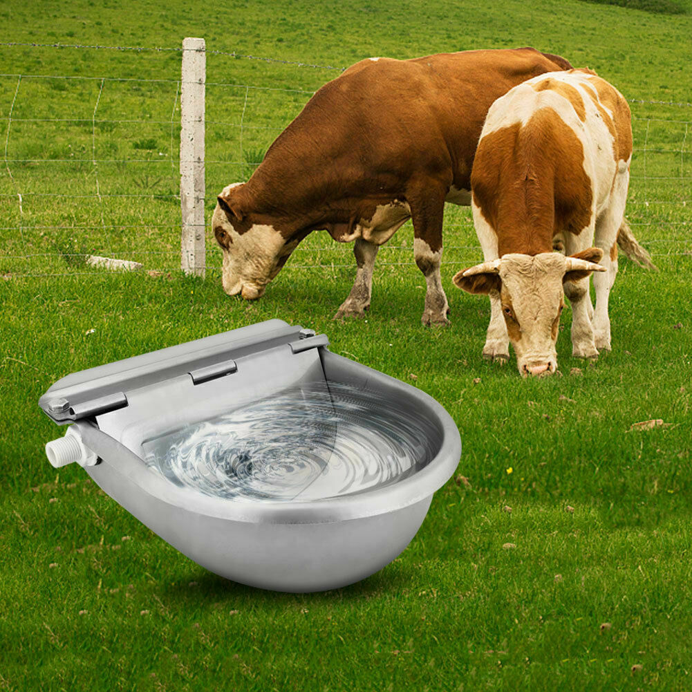 Water Trough Bowl Automatic Drinking Bowl For Dog Horse Chicken Auto Fill